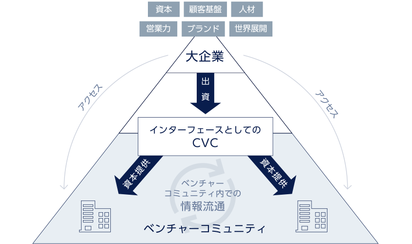 3.インターフェースとしてのCVC